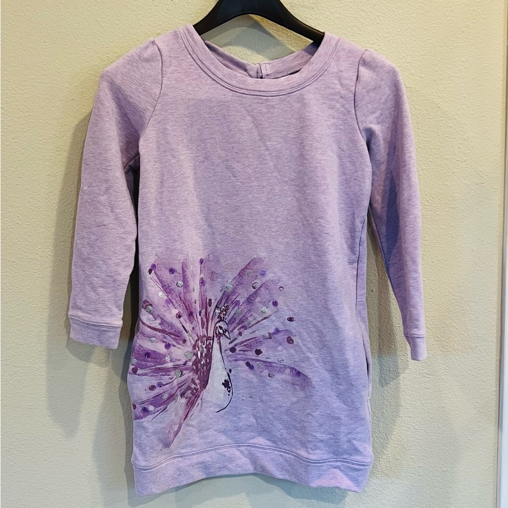 Girls Gymboree Long Sleeve Dress/outfit
